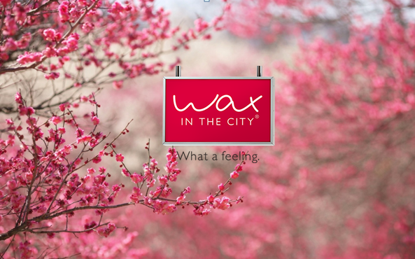 wax in the city budapest