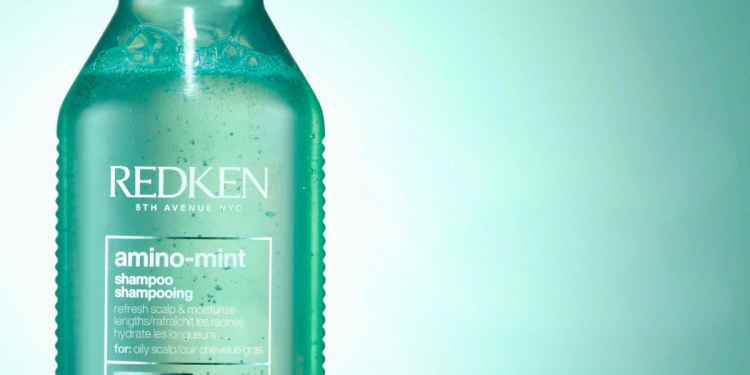 redken_amino_mint_big_blowout