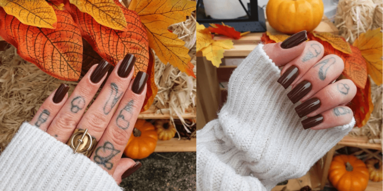 oszi_koromtrendek_2023