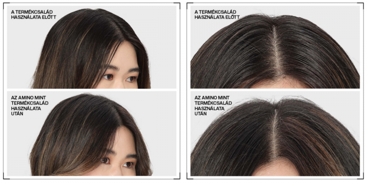 redken_amino_mint_big_blowout