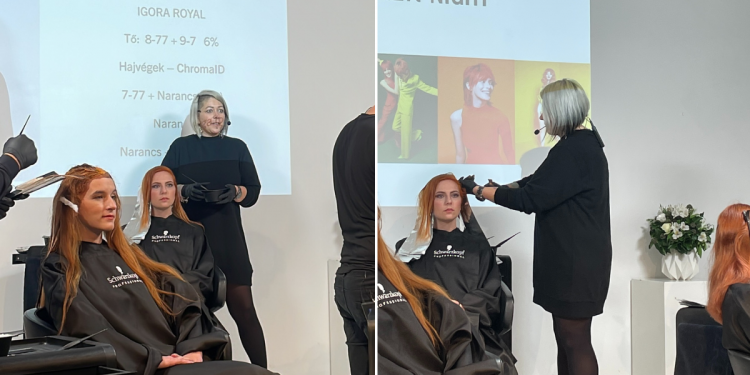 innoxplorer_voros_arnyalatok_schwarzkopf_professional