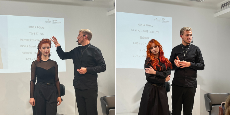 innoxplorer_voros_arnyalatok_schwarzkopf_professional