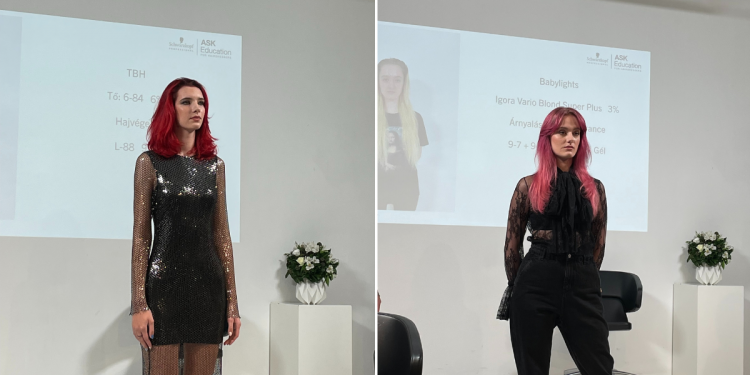 innoxplorer_voros_arnyalatok_schwarzkopf_professional