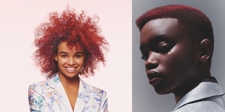 a_hajszinek_szakertoje_magyarorszagra_latogat