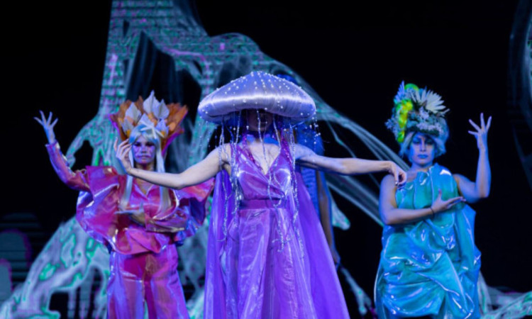 budapest_hair_show_2024_czafik_tamas_ev_felfedezettje_2