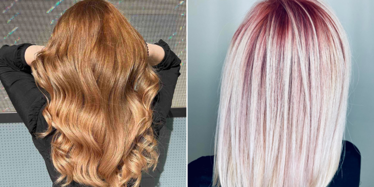 hajegyenesites_vilaga_brasil_cacau_kezeles