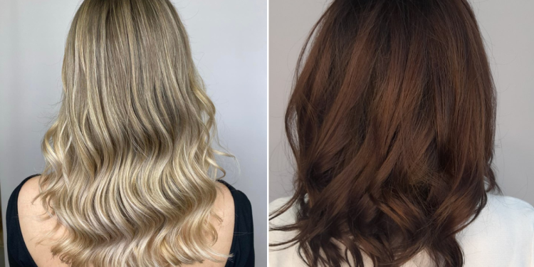 hajegyenesites_vilaga_brasil_cacau_kezeles