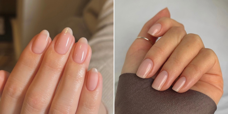 koromtrend_2024 koromtrend_2024