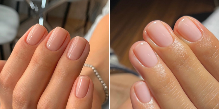 koromtrend_2024 koromtrend_2024