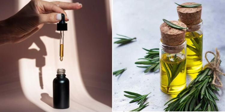 rozmaring_nem_csak_a_hajnak_jo