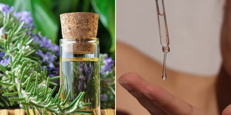 rozmaring_nem_csak_a_hajnak_jo