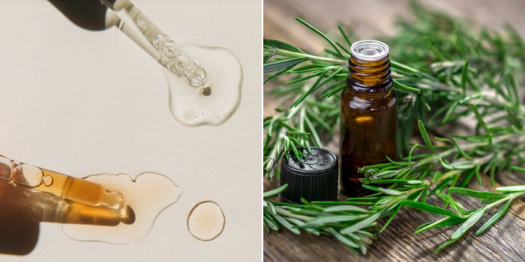 rozmaring_nem_csak_a_hajnak_jo